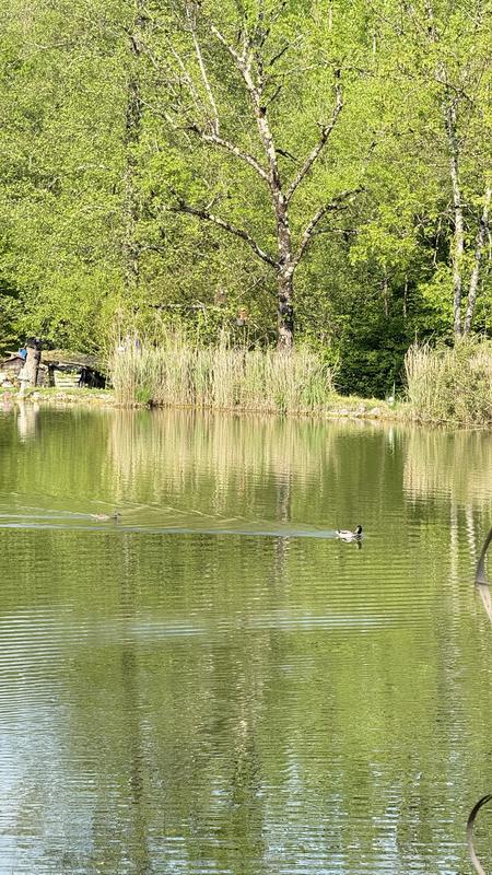 Terrain - 13 420 m²