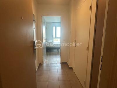 Studio - 20 m² - 1 pièce