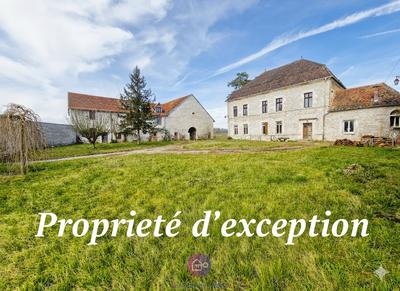 Château - 1 400 m² - 23 pièces