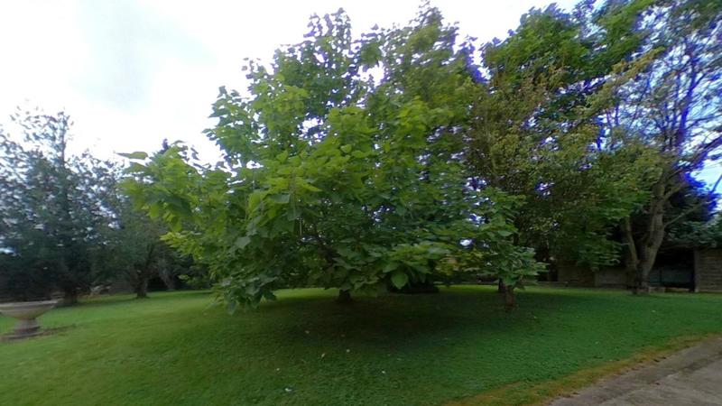 Maison - 133 m² - 3 pièces