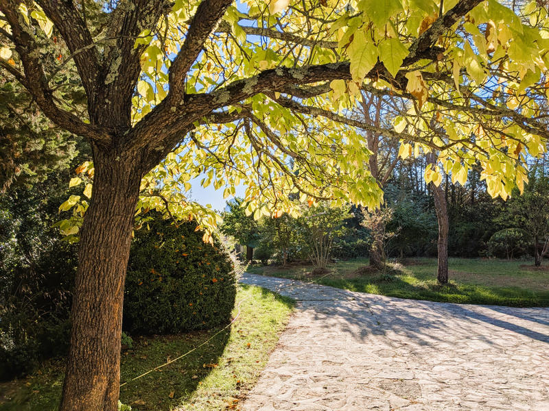 Maison - 282 m² - 8 pièces