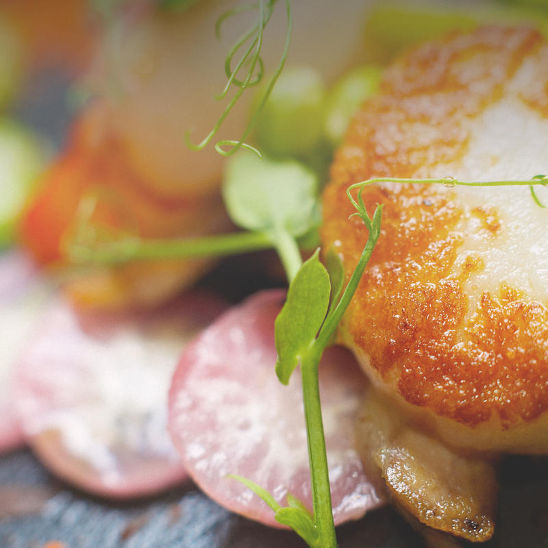 Goûts &amp; Couleurs Sas