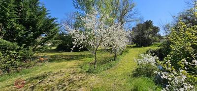Ferme - 223 m² - 10 pièces