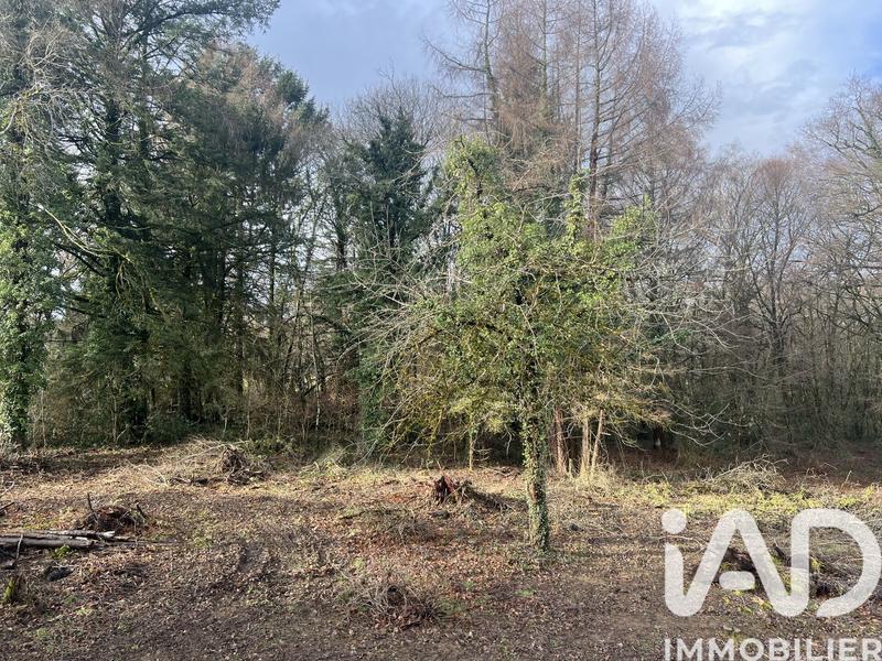 Ferme - 74 m² - 4 pièces