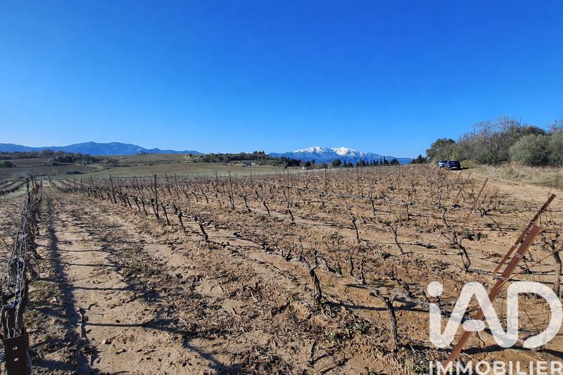 Terrain agricole - 9 187 m²