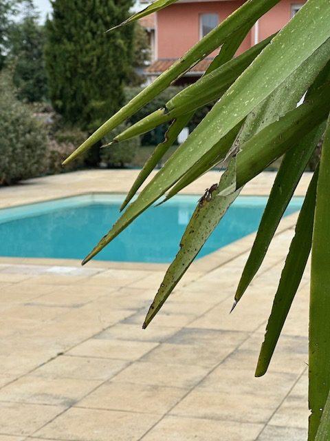 Appartement - 63 m² - 4 pièces