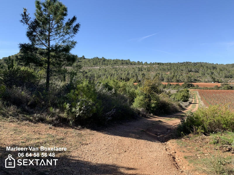 Terrain - 16 090 m²