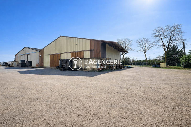 Local d'activités - 1 800 m²