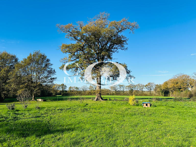 Maison - 160 m² - 5 pièces