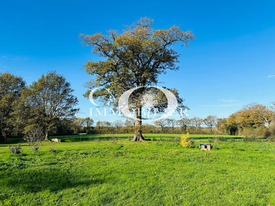 Maison - 160 m² - 5 pièces