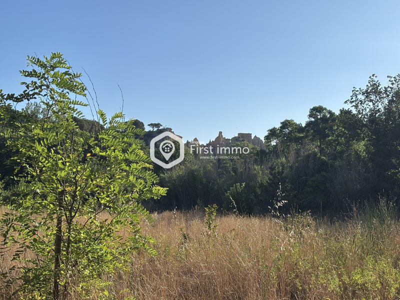 Terrain agricole - 8 736 m²