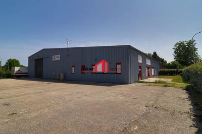 Local d'activités - 977 m² - 10 pièces