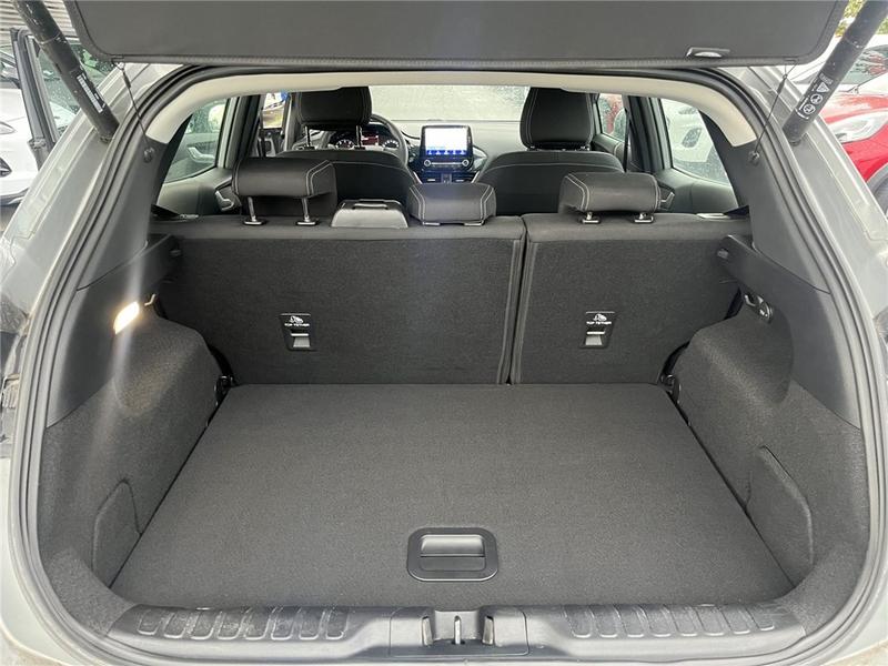 Ford Puma II 1.0 Flexifuel 125 Ch Mhev s&amp;S Bvm6 Titanium Business