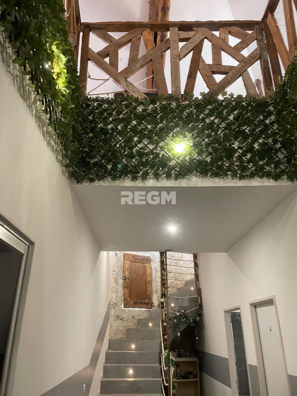 Mas - 344 m² - 9 pièces