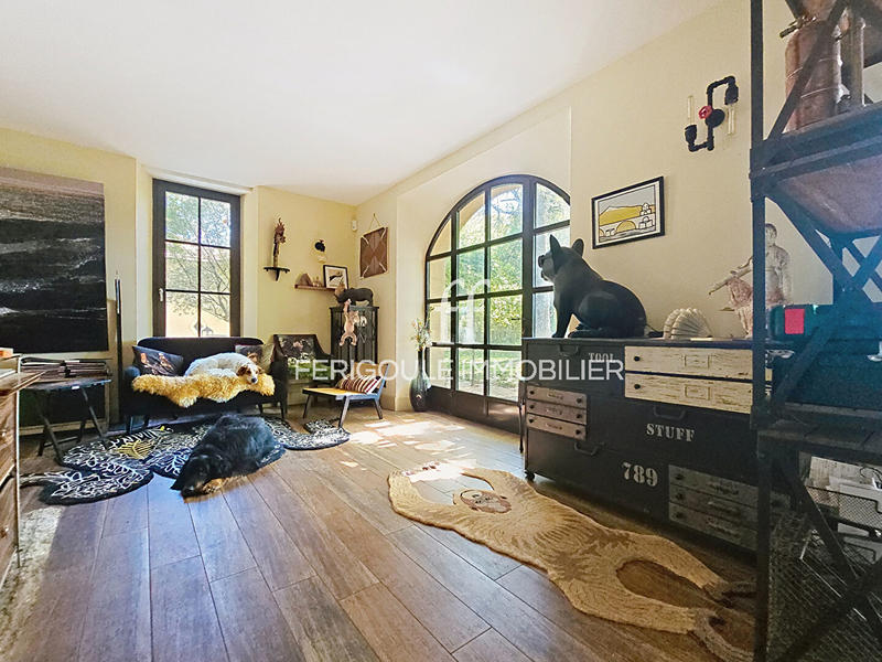 Mas - 353 m² - 10 pièces