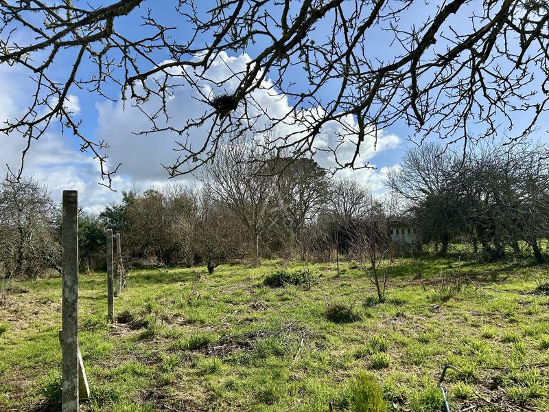 Maison - 117 m² - 6 pièces