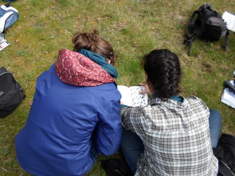 Rallye nature - les insectes