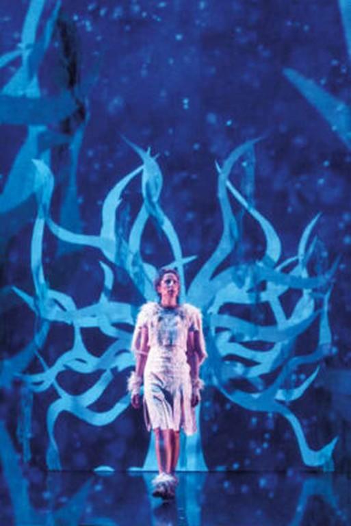 Spectacle "Le Renard et la Terre"