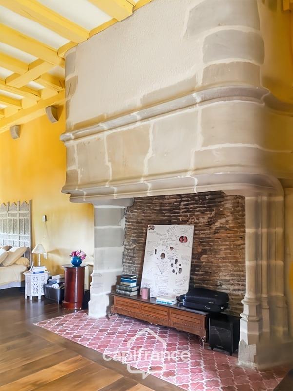 Château - 350 m² - 5 pièces