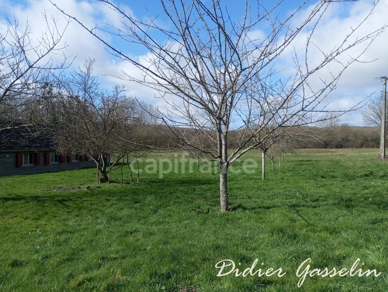 Propriété - 115 m² - 4 pièces