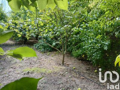 Terrain agricole - 16 110 m²