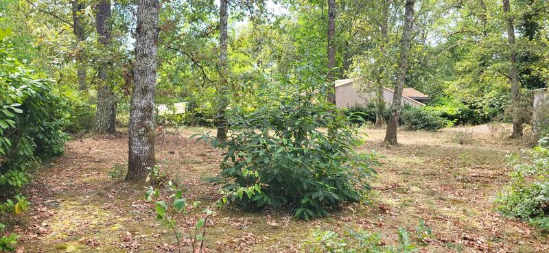 Terrain constructible - 1 032 m²