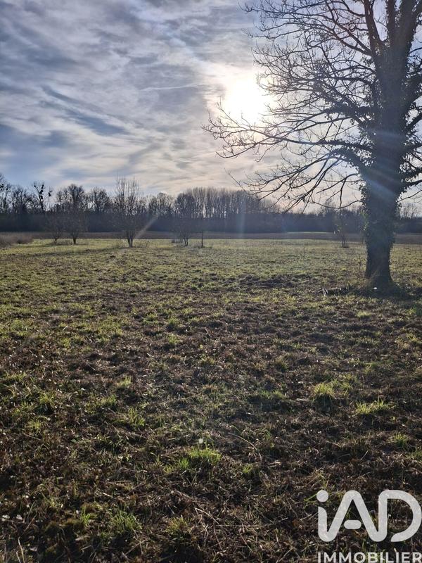 Terrain - 10 024 m²