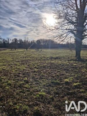 Terrain - 10 024 m²