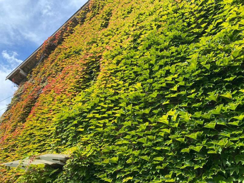 Maison - 220 m² - 15 pièces