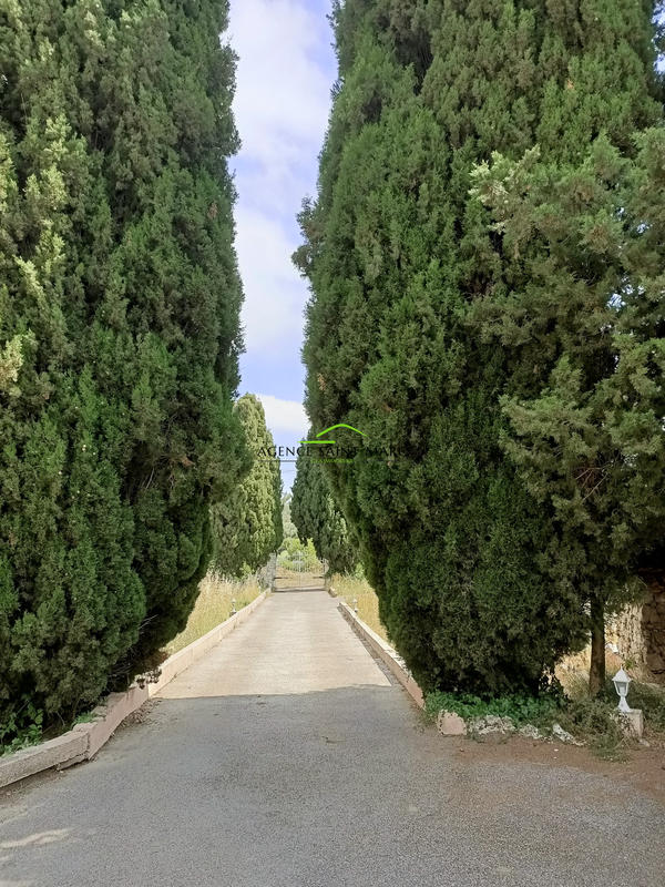 Propriété - 209 m² - 7 pièces