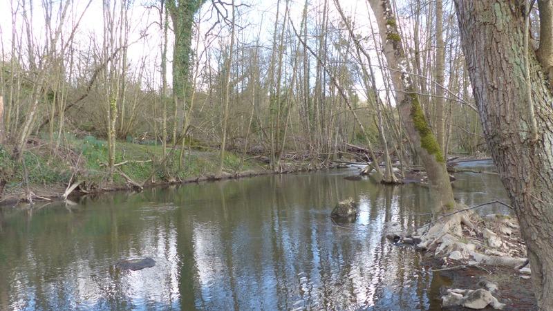 Terrain de loisirs - 2 345 m²