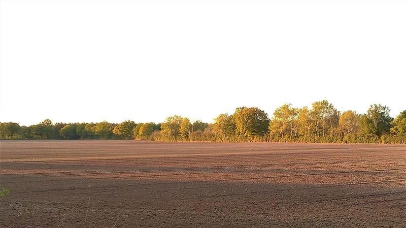 Terrain - 810 000 m²