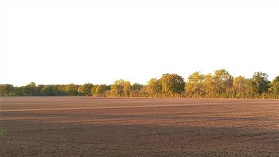 Terrain - 810 000 m²