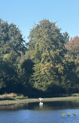 Propriété - 65 m²