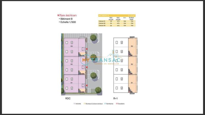 Local d'activité / Entrepôt - 704 m²