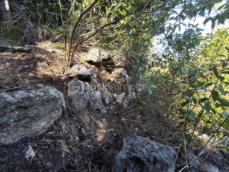 Terrain agricole - 1 625 m²