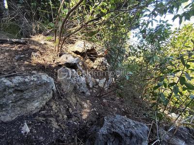 Terrain agricole - 1 625 m²