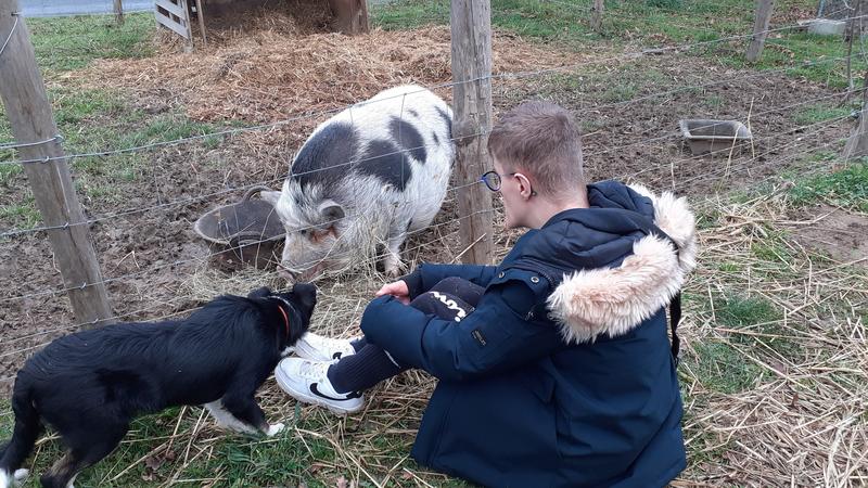 Sophro-duo à la Ferme avec les Sabots de Laine