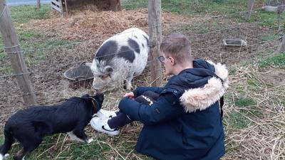 Sophro-duo à la Ferme avec les Sabots de Laine