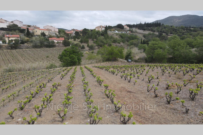 Terrain agricole - 20 250 m²