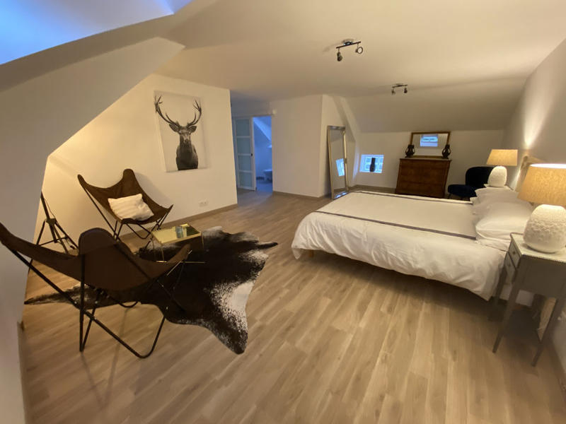 Maison en pierre - 520 m² - 15 pièces