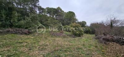 Terrain agricole - 7 256 m²