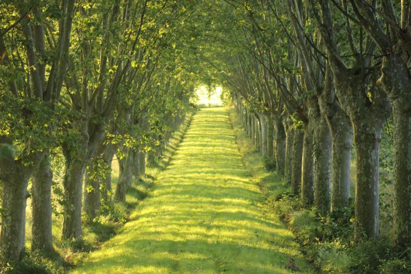 Maison - 365 m² - 8 pièces