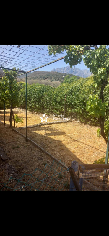 Maison - 137 m² - 6 pièces