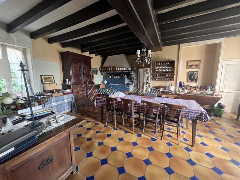 Château - 600 m² - 15 pièces