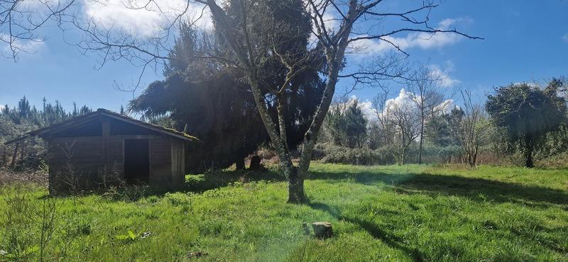 Maison - 106 m² - 3 pièces