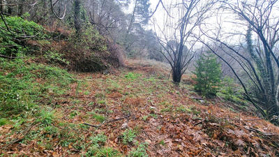 Terrain constructible - 9 403 m²