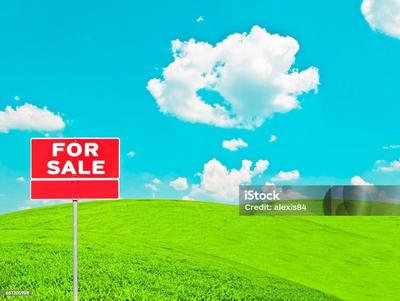 Terrain constructible - 1 512 m²