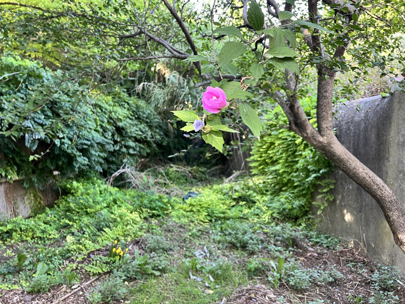 Appartement - 92 m² - 3 pièces