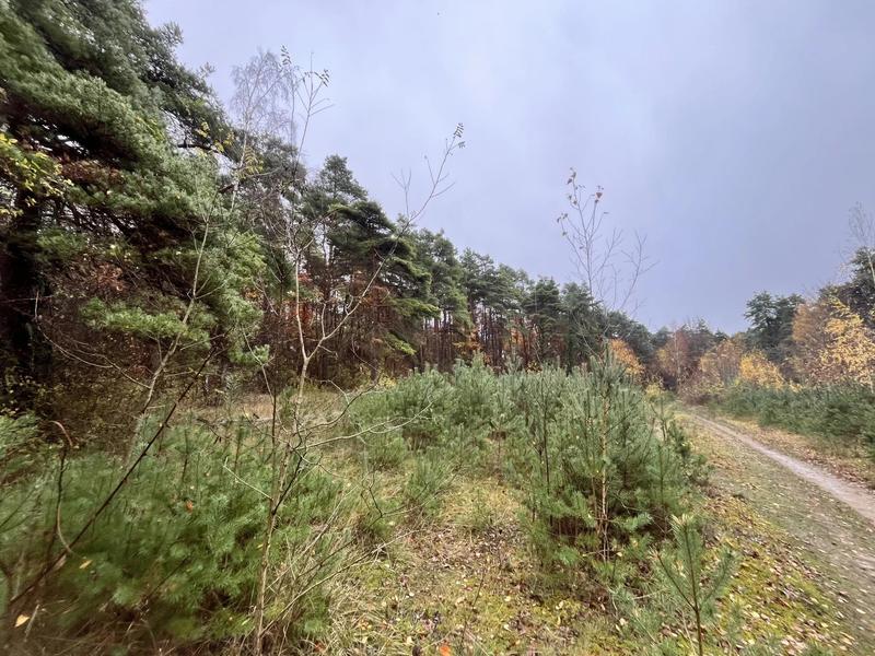 Terrain - 108 475 m²